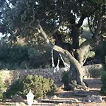 Gemuetliches In Alaior Mit Privatem Pool By Interhome Holiday home Cala En Porter (Menorca)