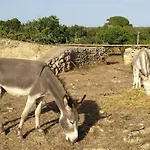 Gemuetliches In Alaior Mit Privatem Pool By Interhome Holiday home