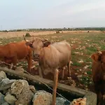 Gemuetliches In Alaior Mit Privatem Pool By Interhome Cala En Porter (Menorca)