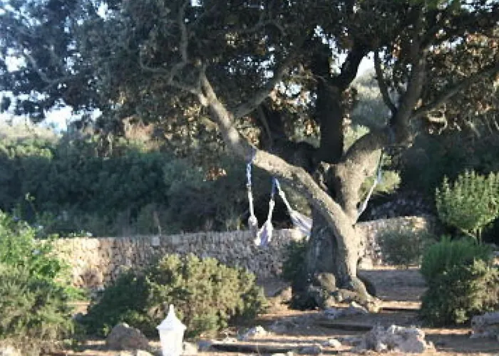 Gemuetliches In Alaior Mit Privatem Pool By Interhome 別荘 Cala En Porter (Menorca)