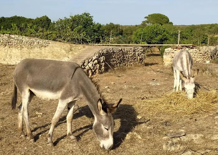 Gemuetliches In Alaior Mit Privatem Pool By Interhome בית נופש