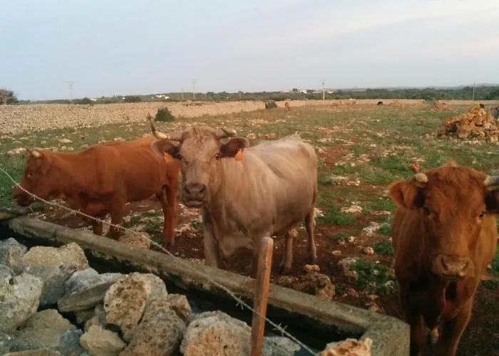 Gemuetliches In Alaior Mit Privatem Pool By Interhome Cala En Porter (Menorca)